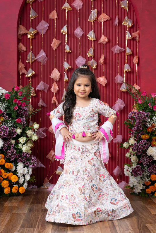 Graceful Glamour: A stunning embroidered lehenga set for your little one's festive sparkle!