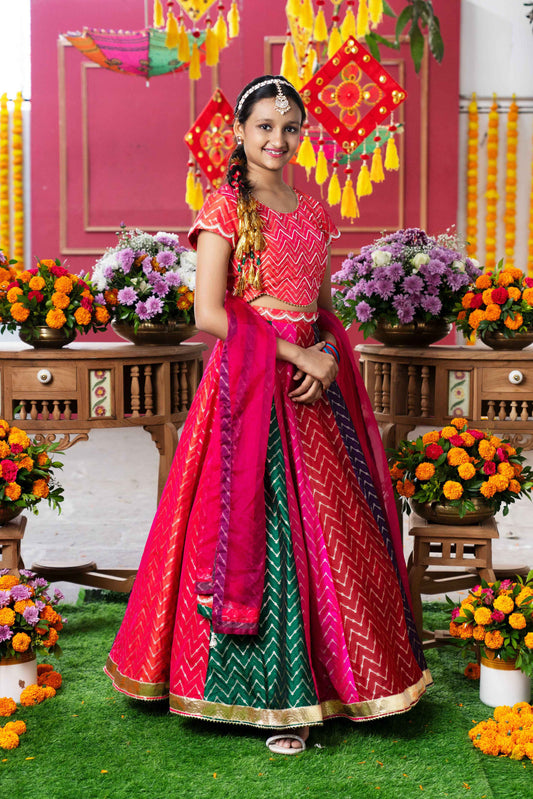 Multi Color Silk & Organza Beads Embroidered Lehenga Set For Girls