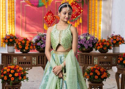 Pastel Green Tissue Silk Embroidered Lehenga Set For Girls