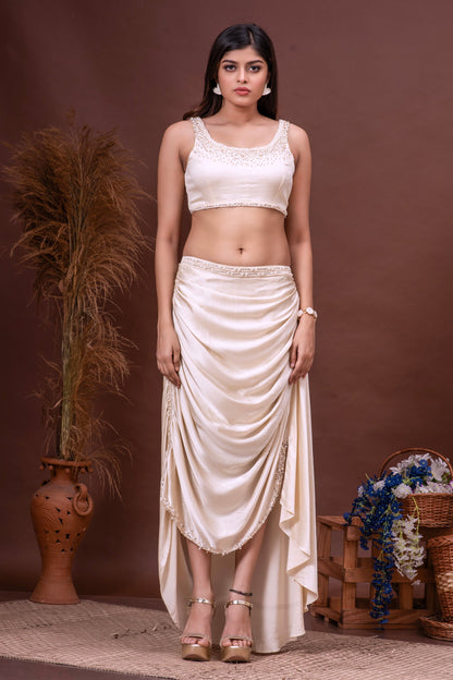 Beige Silk Organza Embroidered Skirt Set